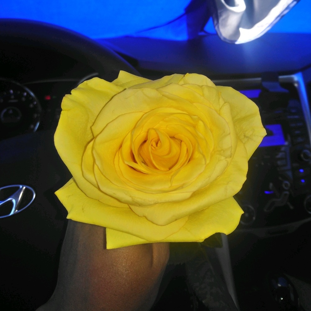 Meet your Posher, Karina